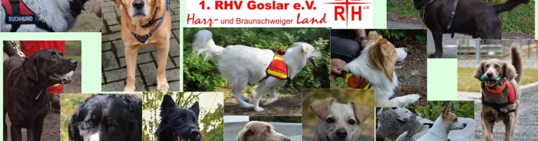 1.RHV Goslar Harz- u.Braunschweiger Land e.V. Header
