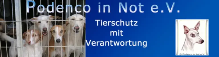 Podenco in Not e.V. Header