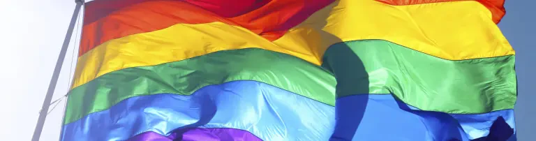 CSD Pirna Header