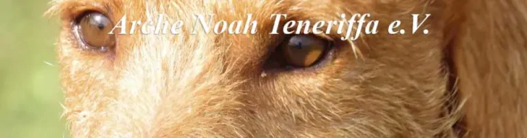 Arche Noah Teneriffa e. V. Header