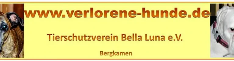 Tierschutzverein Bella Luna e.V. Header