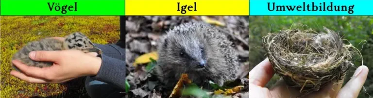 Wildtierheim Preetz Header