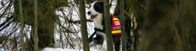 ASB Rettungshundezug Ostthüringen Header