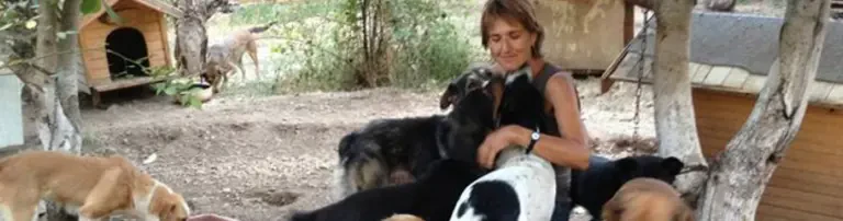 Animalhelp Asenovgrad Bulgaria / One Home for Pet Asenovgrad Header