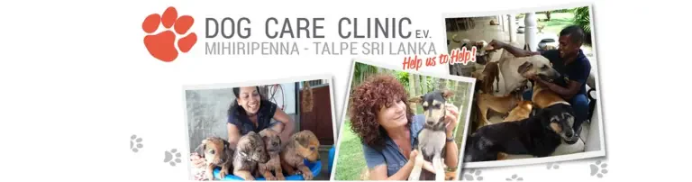 Dog Care Clinic e.V. Header