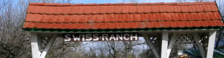 Pfotenhilfe-Ungarn e.V. Header