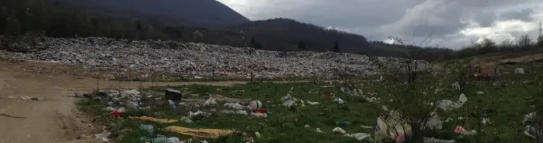 Tierhilfe Oberlandpfoten e.V. Header