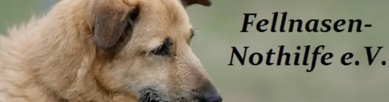 Fellnasen-Nothilfe e.V. Header