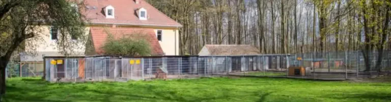 Tierschutzverein Freital und Umgebung e.V. Header
