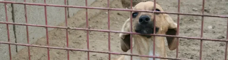 Menschen für Notfelle.de Header