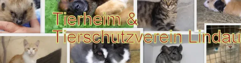 Tierschutzverein Lindau Stadt- und Landkreis e.V. Header