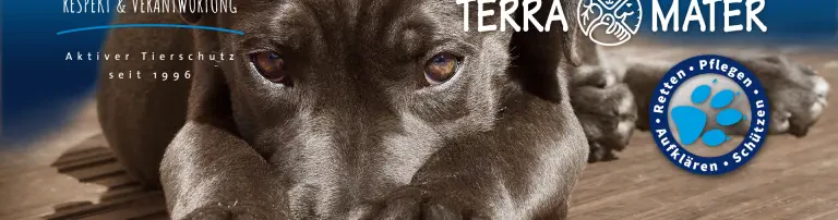 TERRA MATER e.V. Umwelt- und Tierhilfe Header