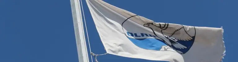 DLRG Ortsgruppe Illingen e.V. Header