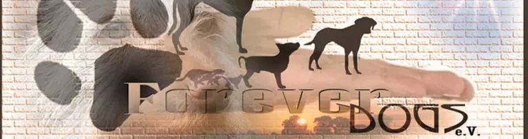 Forever-Dogs e.V. Header