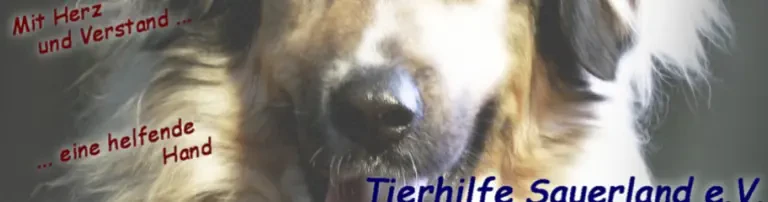 Tierhilfe Sauerland e.V. Header