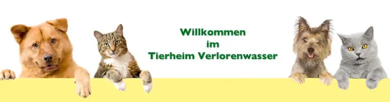 Tierheim Verlorenwasser Header