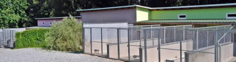 Tierschutzverein Löbau-Zittau e.V. Header