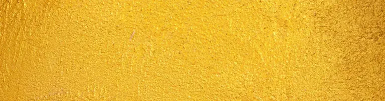 Frei-Zeit-Haus e.V. Header