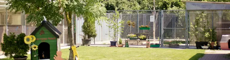 Tierschutzverein Pfungstadt und Umgebung e.V. Header