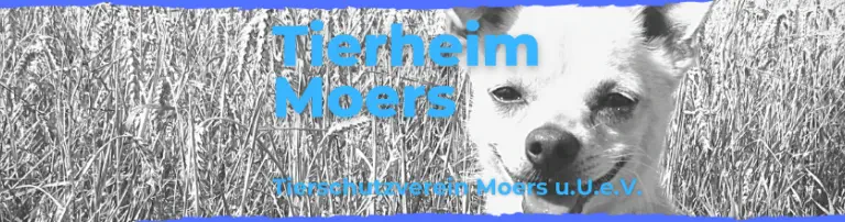 Tierschutzverein Moers und Umgebung e. V. Header