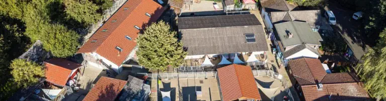 Tierschutzverein Alsfeld e.V. Header