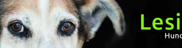 Lesika-Hundehilfe Varazdin e.V. Header