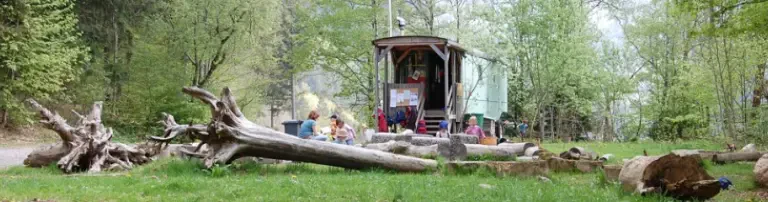Waldkindergarten Wurzelzwerge Todtnau e.V. Header
