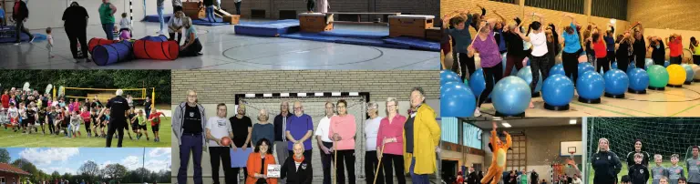 TSV Sellstedt Header