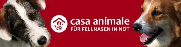 casa animale e.V.  Für Fellnasen in Not Header