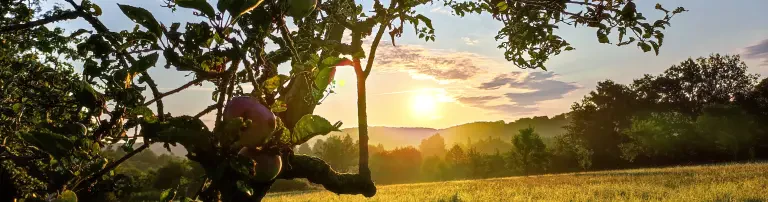 Naturefund e. V. Header