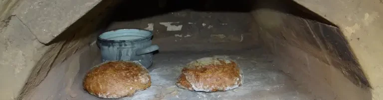 NABU Regionalgruppe  Südraum Leipzig Header