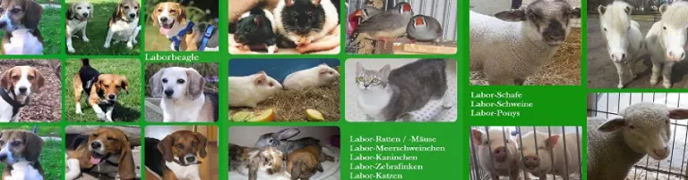 Initiative Hilfe für Labortiere e.V. Header