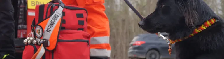 BRH Rettungshundestaffel Rems-Murr e.V. Header