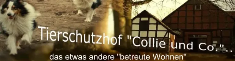 Tierschutzhof Collie und Co. Header