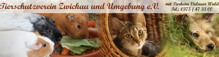 Tierschutzverein Zwickau und Umgebung e.V. Header