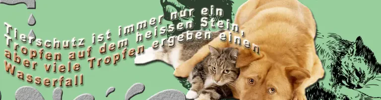 Tierschutzverein Dakota e.V. Header