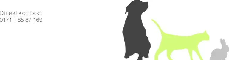 Tierschutzverein Fliedetal e.V. Header