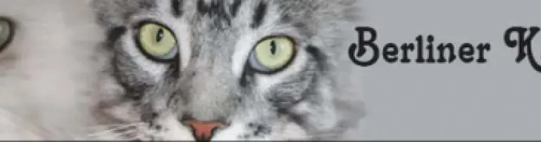 Berliner Katzenschutz e.V. Header