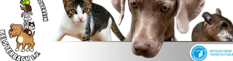 Tierschutzverein Kelsterbach e.V. Header