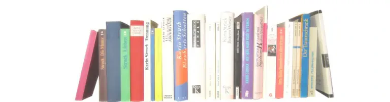 Karin-Struck-Stiftung e. V. Header