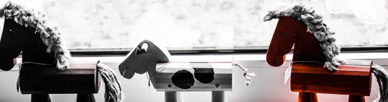 Hippo e.V. Header
