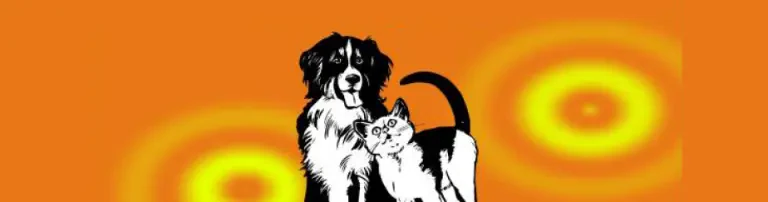 Tiere in Not Brühl Header