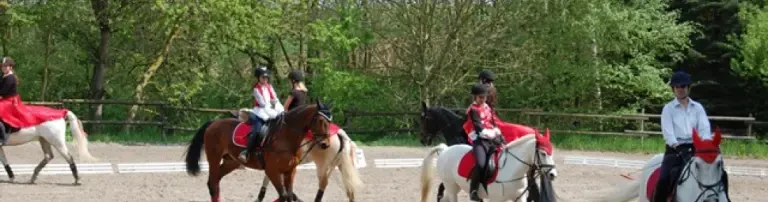 Jugendförderung Reitverein Ditzingen e.V. Header