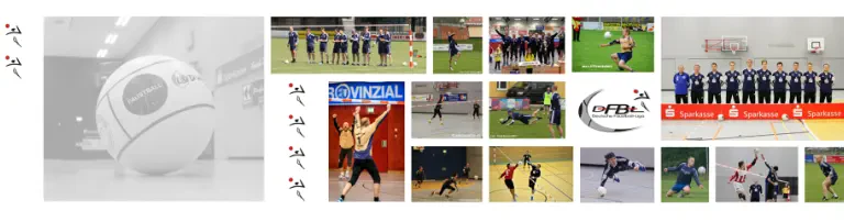 SSV Heidenau e.V. - Abteilung Faustball Header