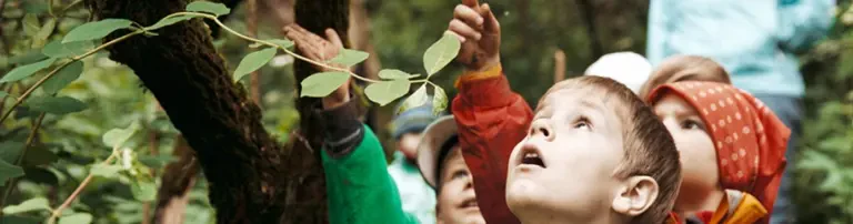 Waldkindergarten Ebsdorfergrund - Die Waldbienen e.V. Header