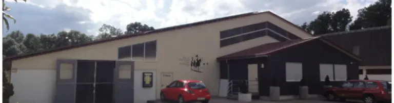 RFV Ulm - Wiblingen Header