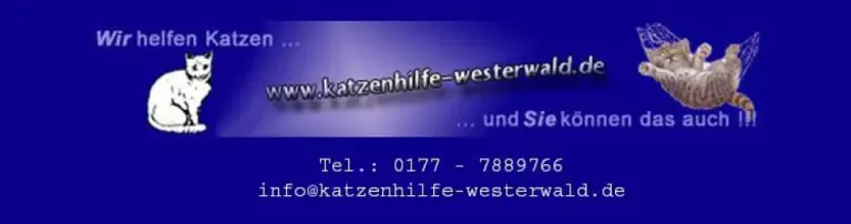 Katzenhilfe Westerwald e. V. Header