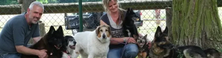 Dogworld-Stiftung Header