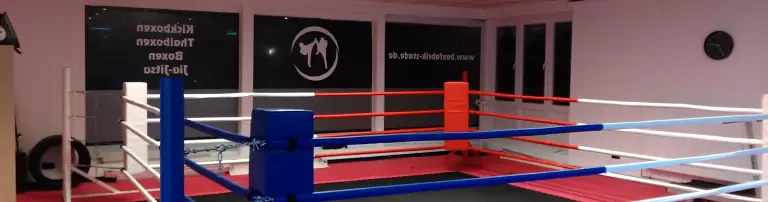 Boxfabrik Stade e.V. Header