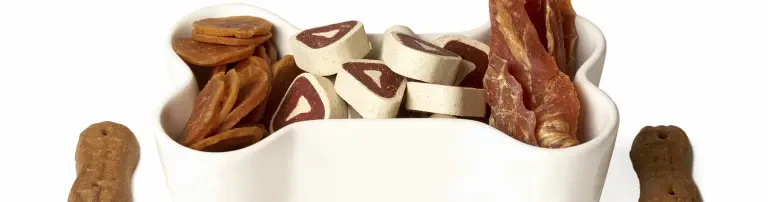 Tiertafel Albstadt und Umgebung, Hilfe für Mensch und Tier e.V. Header